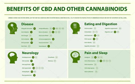 Beneficios del CBD y otros cannabinoides infografía horizontal 2024