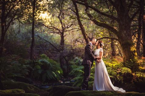 Reportaje De Fotos De Boda En El Bosque