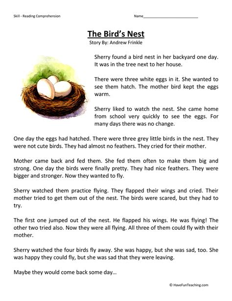 Birds Nest Reading Comprehension Worksheet Have Fun Teaching