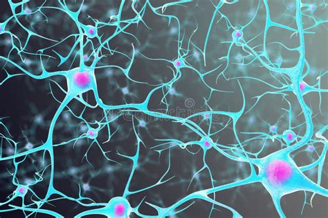 Neuronas En El Cerebro Con Un Núcleo Dentro En Fondo Negro Ilustración 3d Foto De Archivo