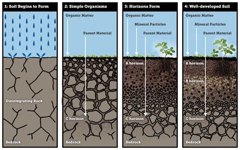 Soil Formation and Soil Types - CivilArc