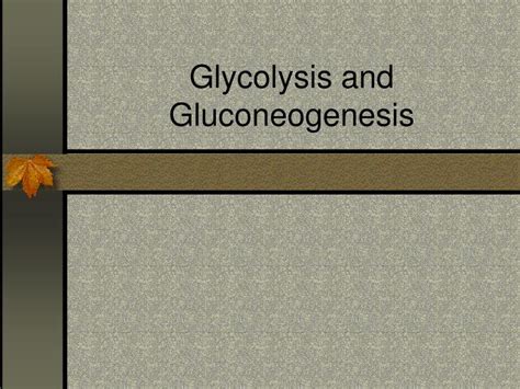 Ppt Glycolysis And Gluconeogenesis Powerpoint Presentation Free