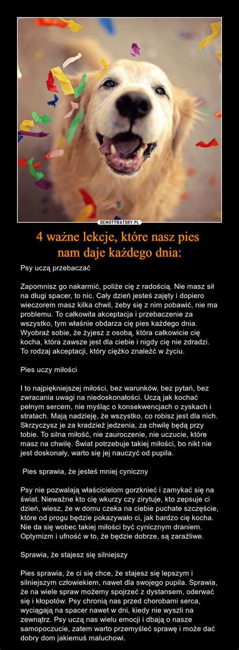 4 ważne lekcje które nasz pies nam daje każdego dnia Demotywatory pl