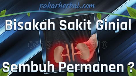 Cara Menyembuhkan Batu Ginjal Tanpa Operasi Hanya Dengan Konsumsi