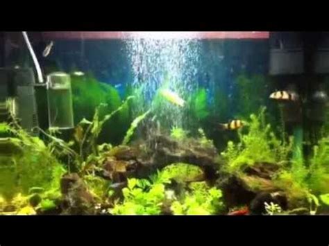 Hydor H2Sh0w Bubble Maker - YouTube