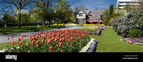 A scenic photo in Christchurch, New Zealand of the spring flowers in ...