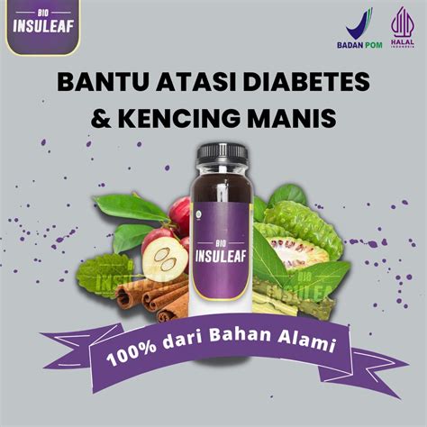 Jual Bio Insuleaf Herbal Alami Atasi Diabetes Dan Kencing Manis