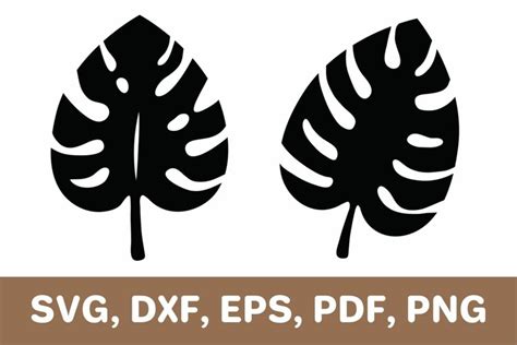 Monstera Svg Monstera Leaf Svg Leaves Cricut Silhouette