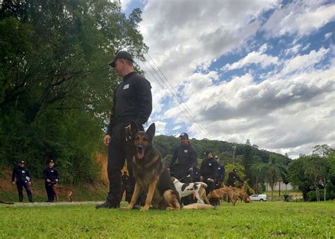 SAP realiza curso para ampliação de condutores de cães para as forças