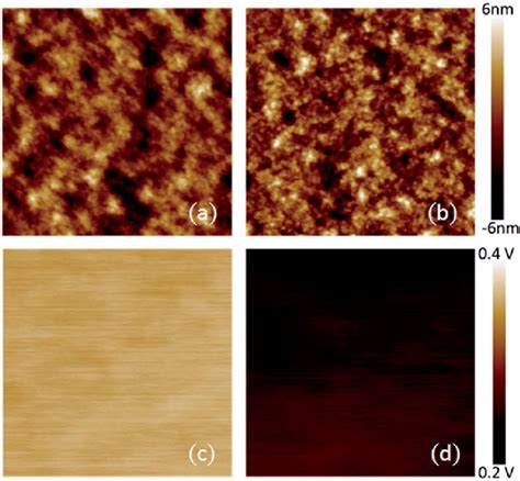 Scanning Kelvin Probe Microscopy Is Used To Probe The Electric Dipole