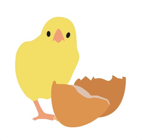 Un œuf et un poussin jaune mignon Vecteur Premium