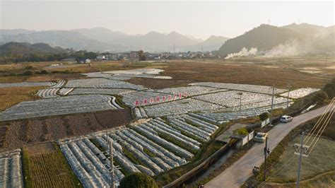 荔浦新农人“芋”见拼多多年货节 希望卖个好价过个好年南方网