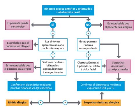 El Tratamiento Y Control De La Rinitis Alérgica Benficia El Manejo Del