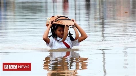 4 maneiras pelas quais as mudanças climáticas afetam mais de 200