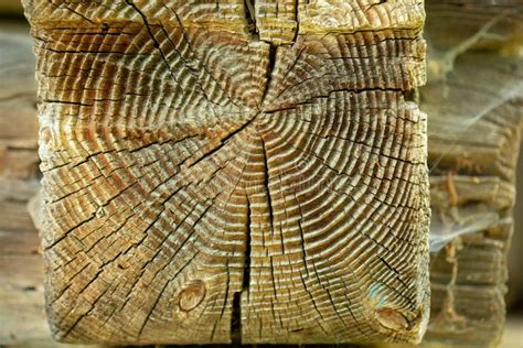 Texture En Coupe De Rondin Bois Normal Image Stock Image Du Cercle