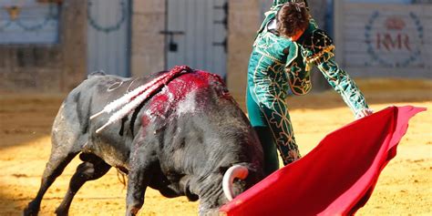 Carteles De La Feria De Ronda Morante Manzanares Y Roca Rey Terna