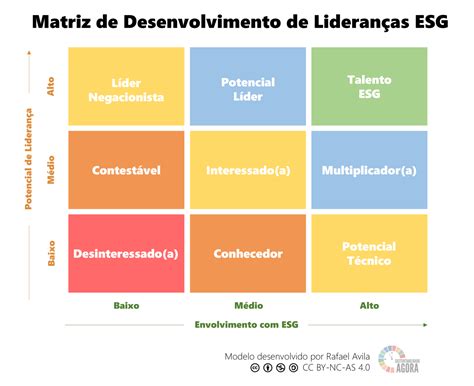 Passos Para Implementar Uma Matriz De Desenvolvimento De Lideran As