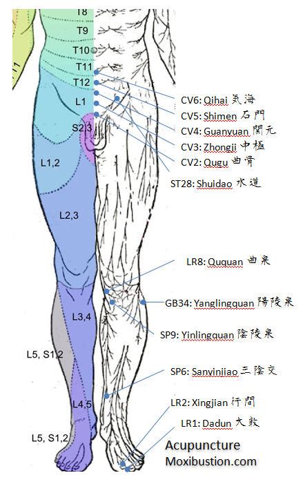 Acupuncture Points For Urinary Incontinence Overactive Bladder