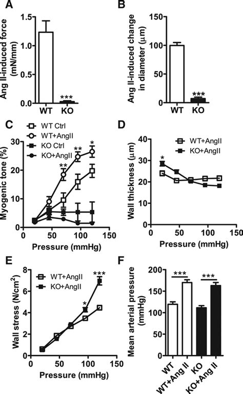 Loss Of Vascular Myogenic Tone In Mir 143145 Knockout Mice Is