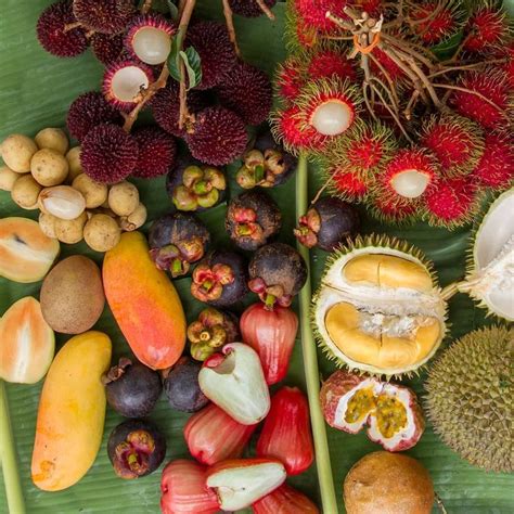 Tropical Fruits From Malaysia A Colorful Array Of Exotic Delights