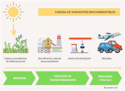 Biocombustibles Qué son cómo se obtiene y ventajas OVACEN