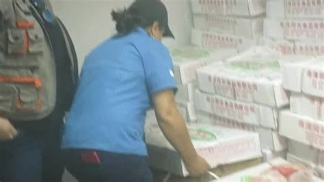 Autoridades De San Jos Decomisan Mil Kilos De Carne De Pato