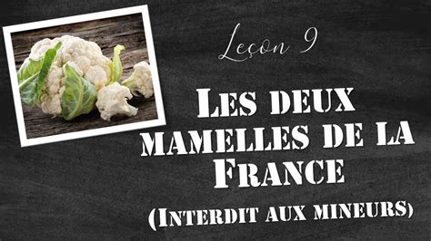 Les leçons de Maître Turge Leçon 9 Les deux mamelles de la France