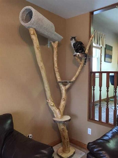 Arbre à Chat Branche Diy Cat Tree Cat Diy Cat Tree