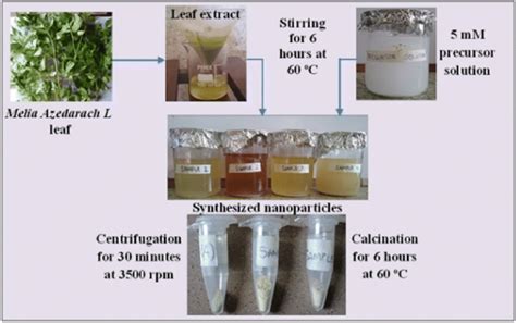 Stepwise Experimentation Flowchart For Green Synthesis Of Tio2