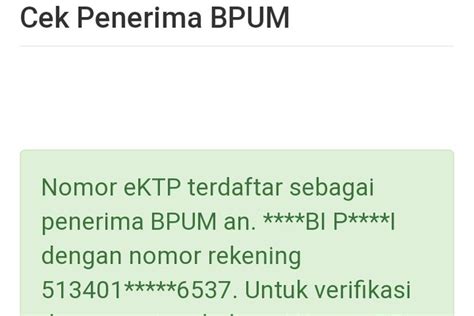 Nik Ktp Tidak Terdaftar Di Eform Bri Co Id Masih Bisa Dapat Bpum Rp