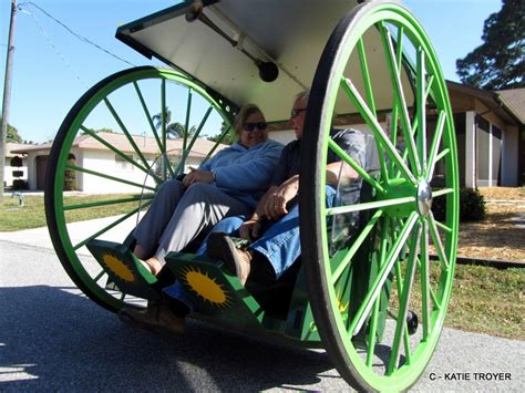Pinecraft Sarasota Larrys Solar Green Buggy