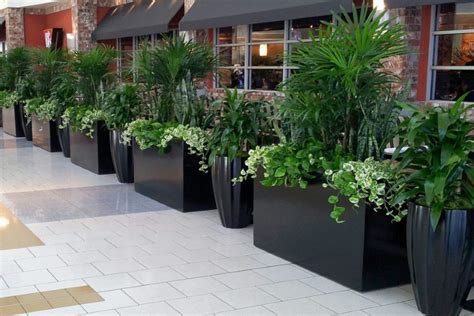 Enhance Outdoor Spaces With Modern Outdoor Planters: Trends And Choices | Creative Design ...