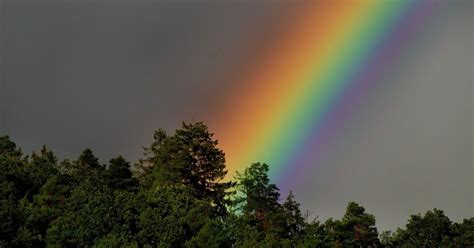 Cores do Arco Íris Toda Matéria