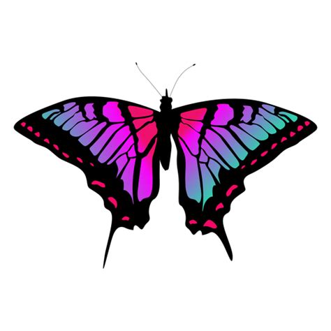 Vetor De Borboleta Colorida Baixar Png Svg Transparente