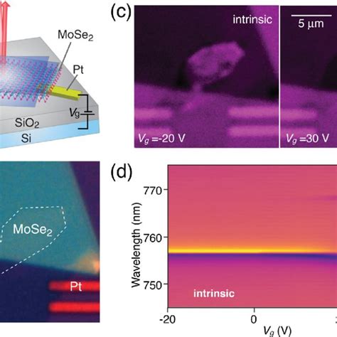 A Schematic Of The Trigonal Prismatic Structure Of A Monolayer TMDC