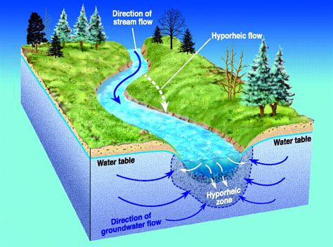 Flow And Storage In Groundwater Systems Science