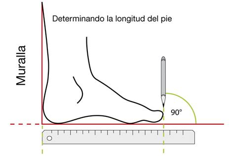 Medida Del Pie Tablon Image To U