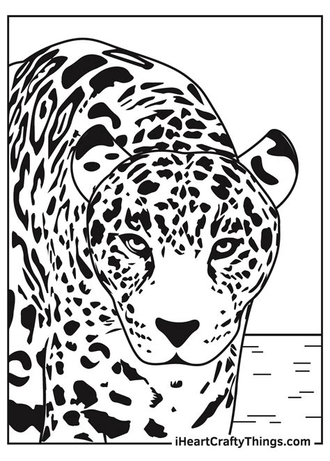 Leopard Print Coloring Page