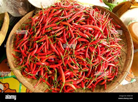Birds Eye Bird Thai Pepper Hi Res Stock Photography And Images Alamy