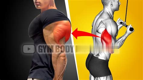 11 Tricep Exercises For Massive Armstriceps Workout At Gymbigger Triceps Exercisestricep Day