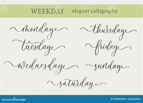 Wednesday Handwriting Font By Calligraphy Vector Illustration On