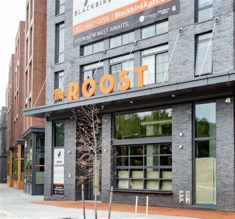 The Roost | Capitol Hill BID | Washington, DC