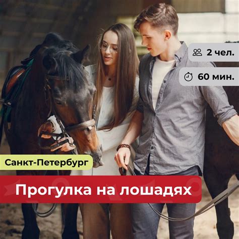 Прогулка на лошадях в Санкт-Петербурге — подарочный сертификат от ...