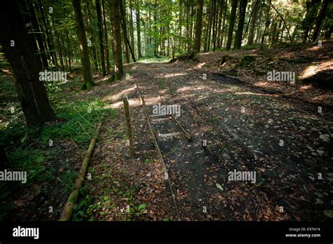 Argonne Forest WW1 Meuse-Argonne Battlefield site, France. October 2014 ...