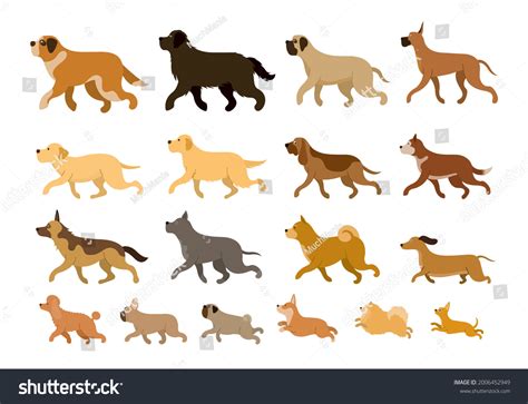 4059 Pomeranian Running Images Stock Photos 3d Objects And Vectors
