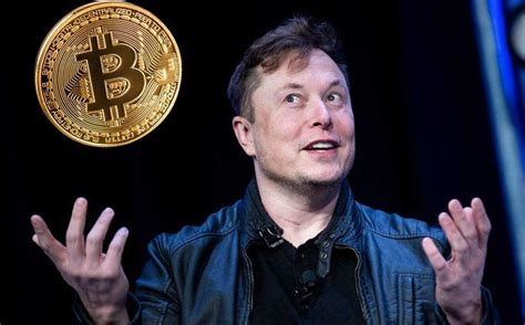 Elon Musk Revela Quanto Bitcoin Tem E N O Vais Acreditar Gnews