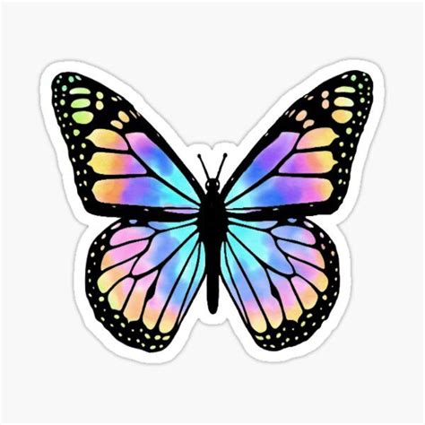 Tie Dye Butterfly By Olivia Travis Redbubble Butterfly