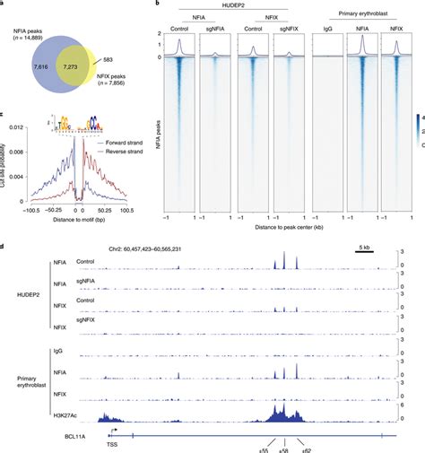 Nfia And Nfix Genomic Occupancy Profiles By Cutandrun A Venn Diagram Of Download Scientific