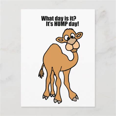 Funny Hump Day Camel Art Postcard Zazzle