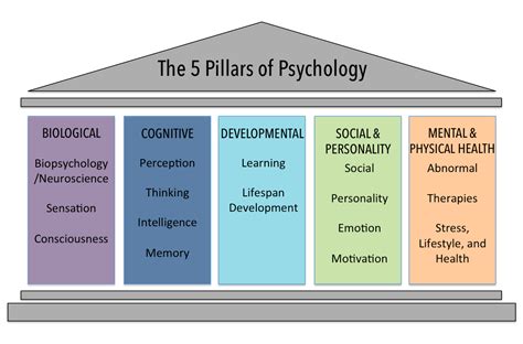 How To Self Learn Psychology As A Beginner An 8 Step Roadmap